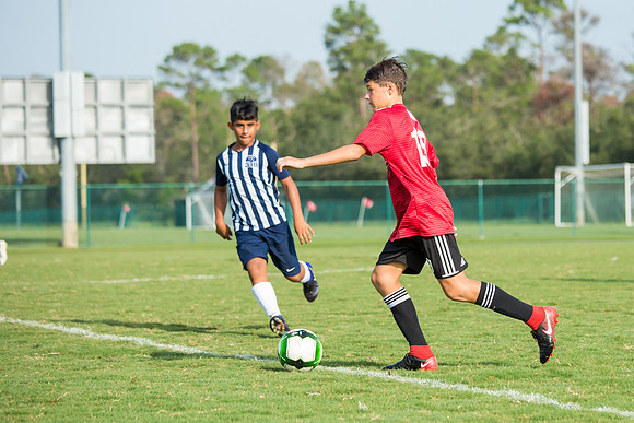 IMG_8729